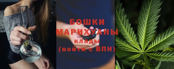 PSILOCYBIN Аркадак