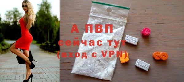 PSILOCYBIN Аркадак
