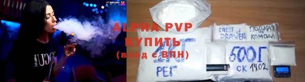 PSILOCYBIN Аркадак