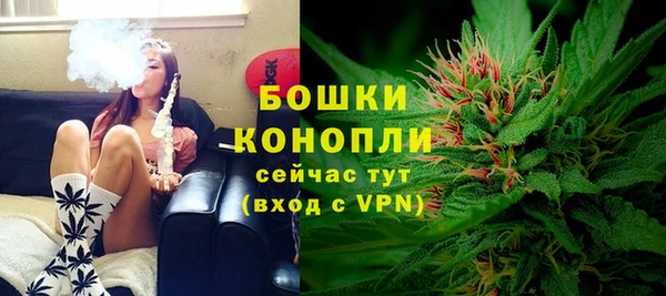 PSILOCYBIN Аркадак