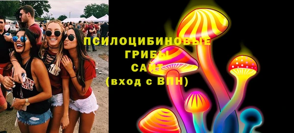 PSILOCYBIN Аркадак